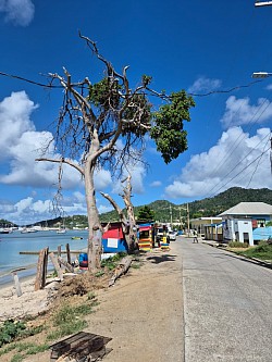 Carriacou