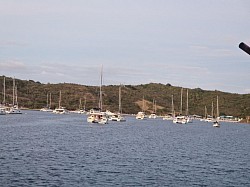 Katamarane