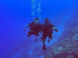 Dive