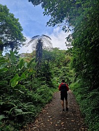 Monteverde